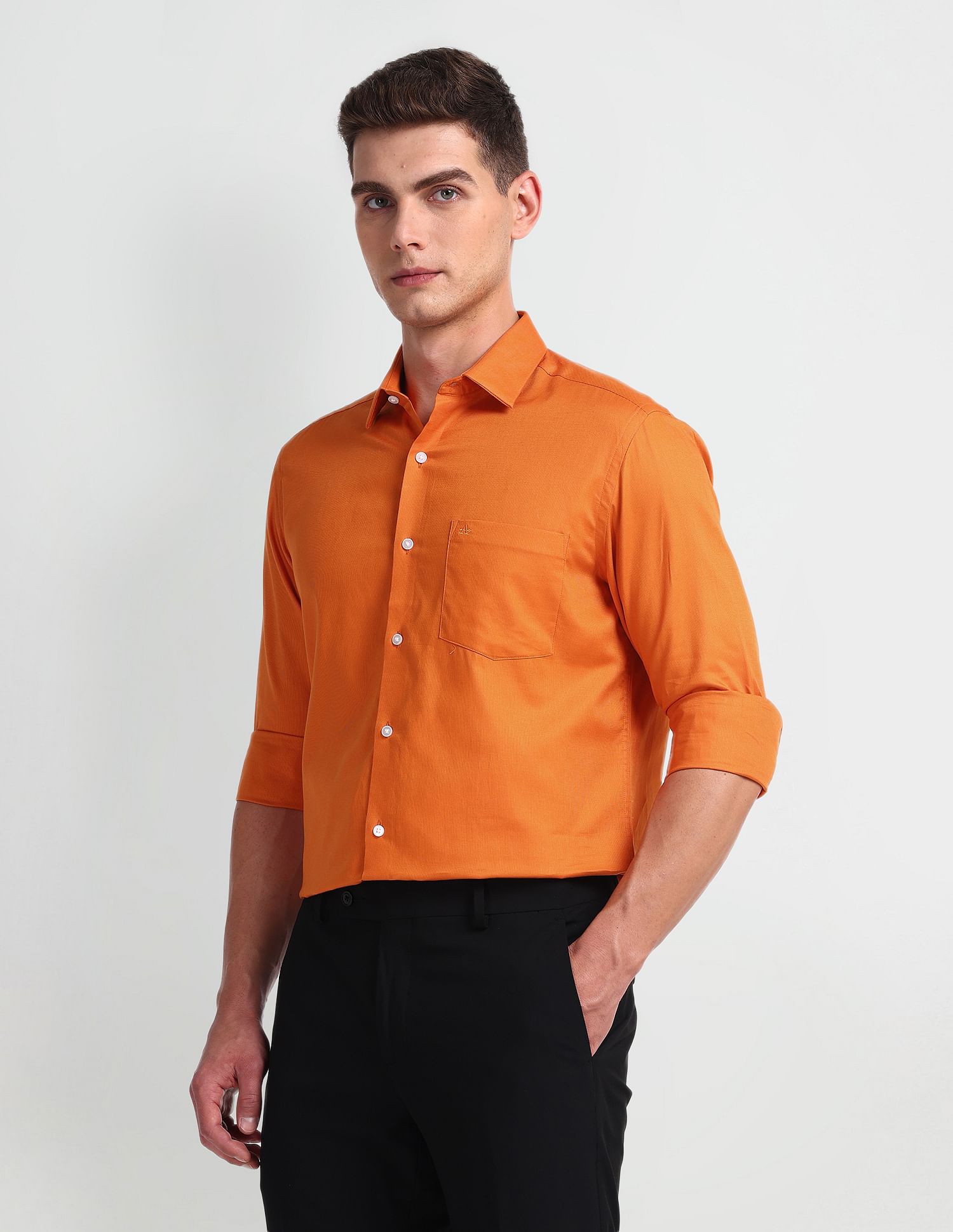 Arrow Solid Long Sleeve Dobby Shirt