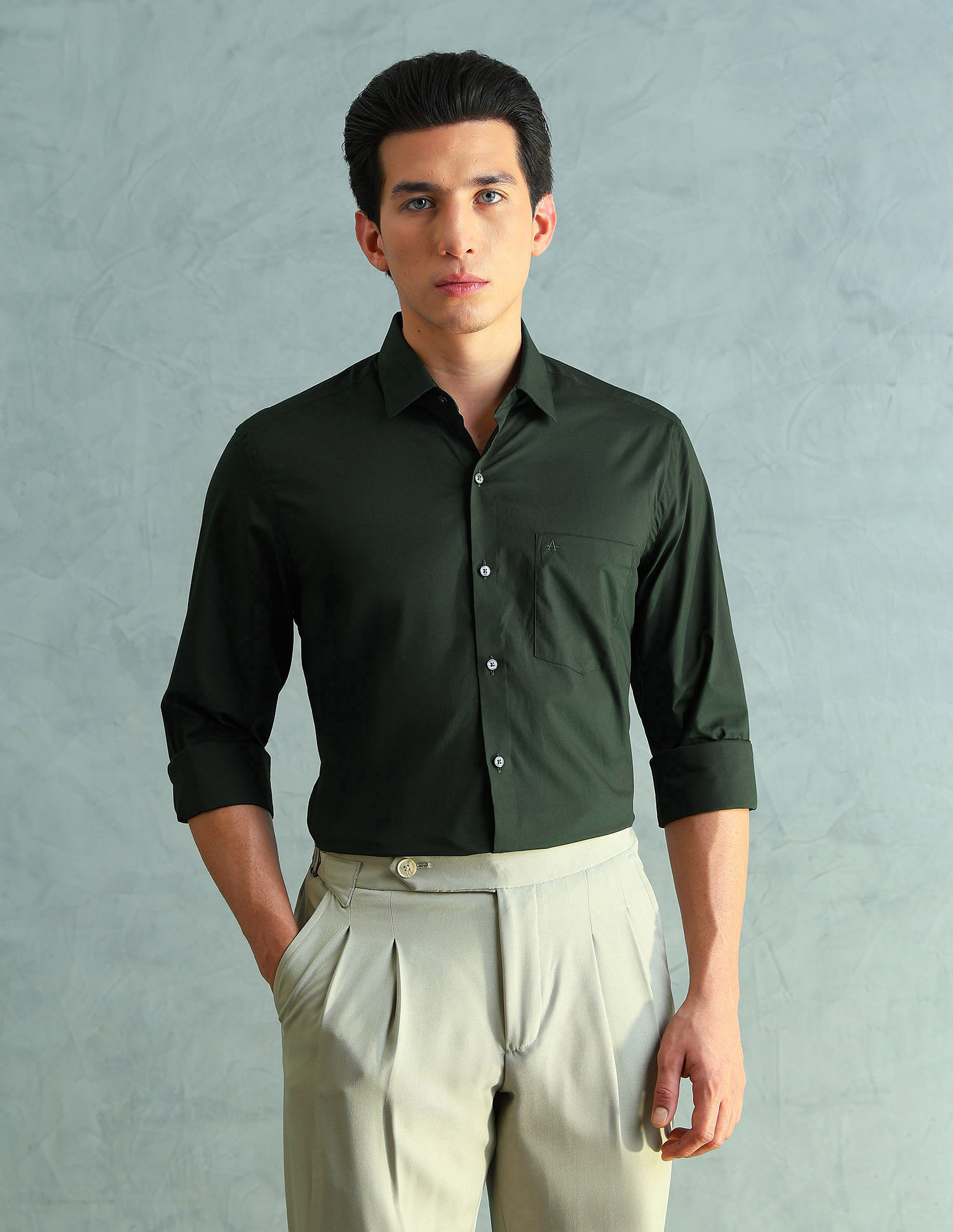 Arrow Slim Fit Smart Formal Shirt