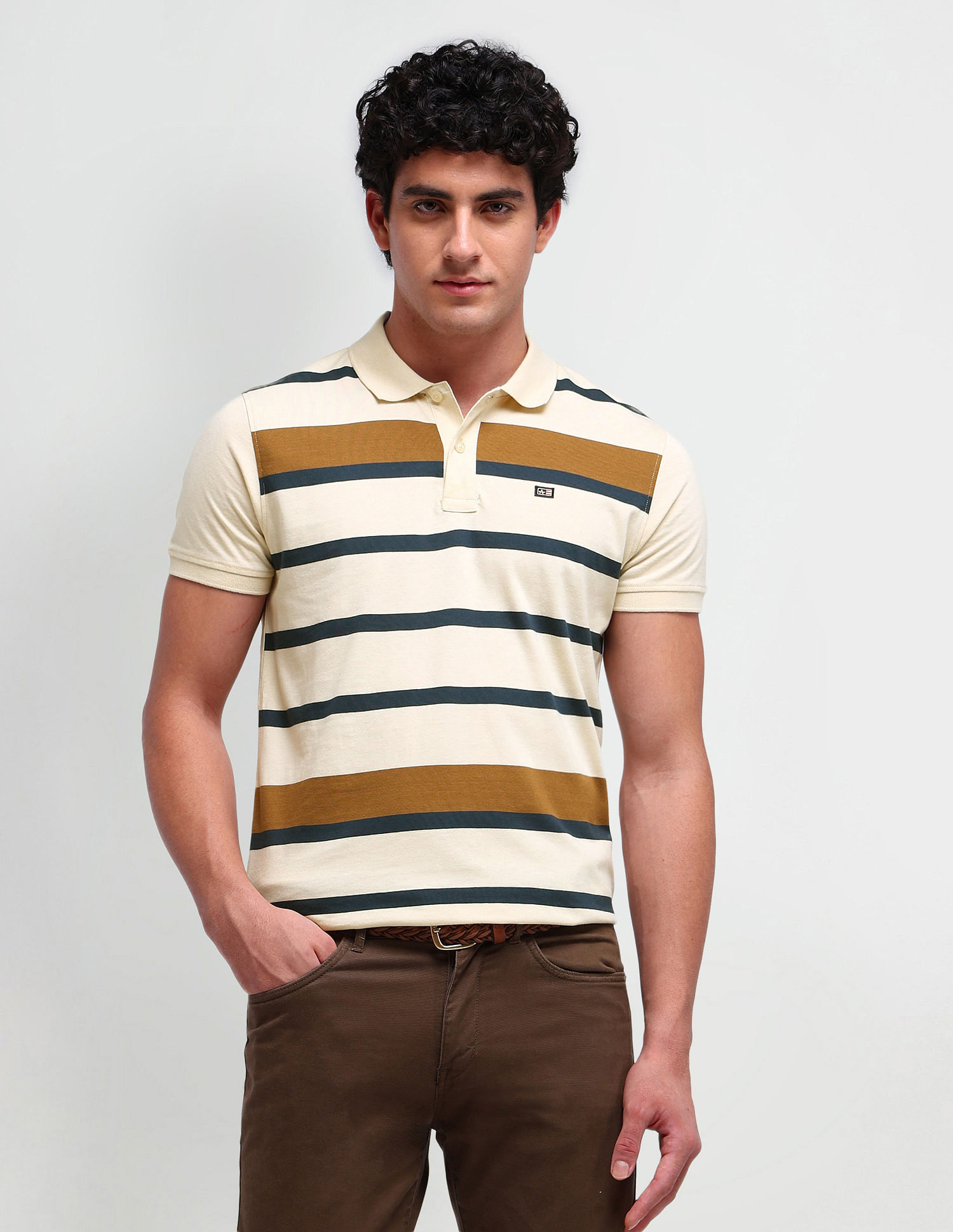 Arrow Sport Horizontal Striped Regular Polo Shirt
