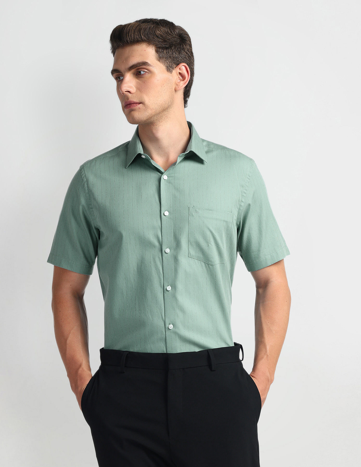 Arrow Vertical Stripe Twill Shirt