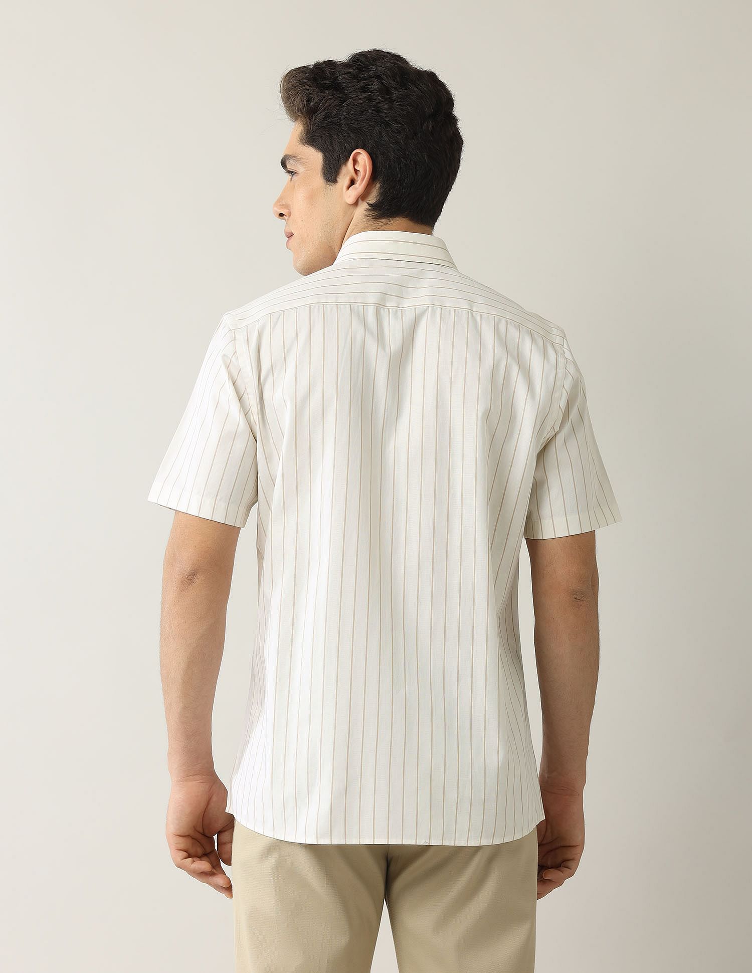 Arrow Vertical Striped Liberty Classic Fit Shirt