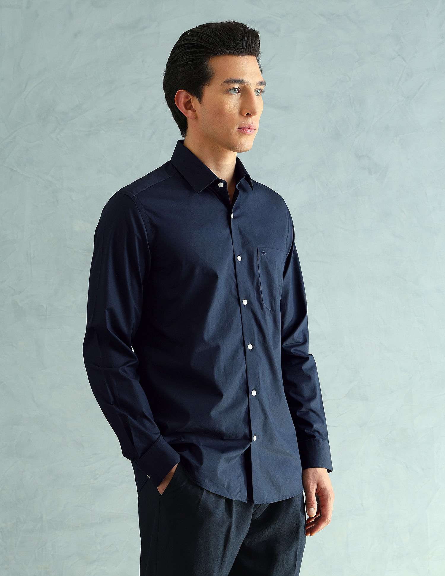 Arrow Slim Fit Smart Formal Shirt