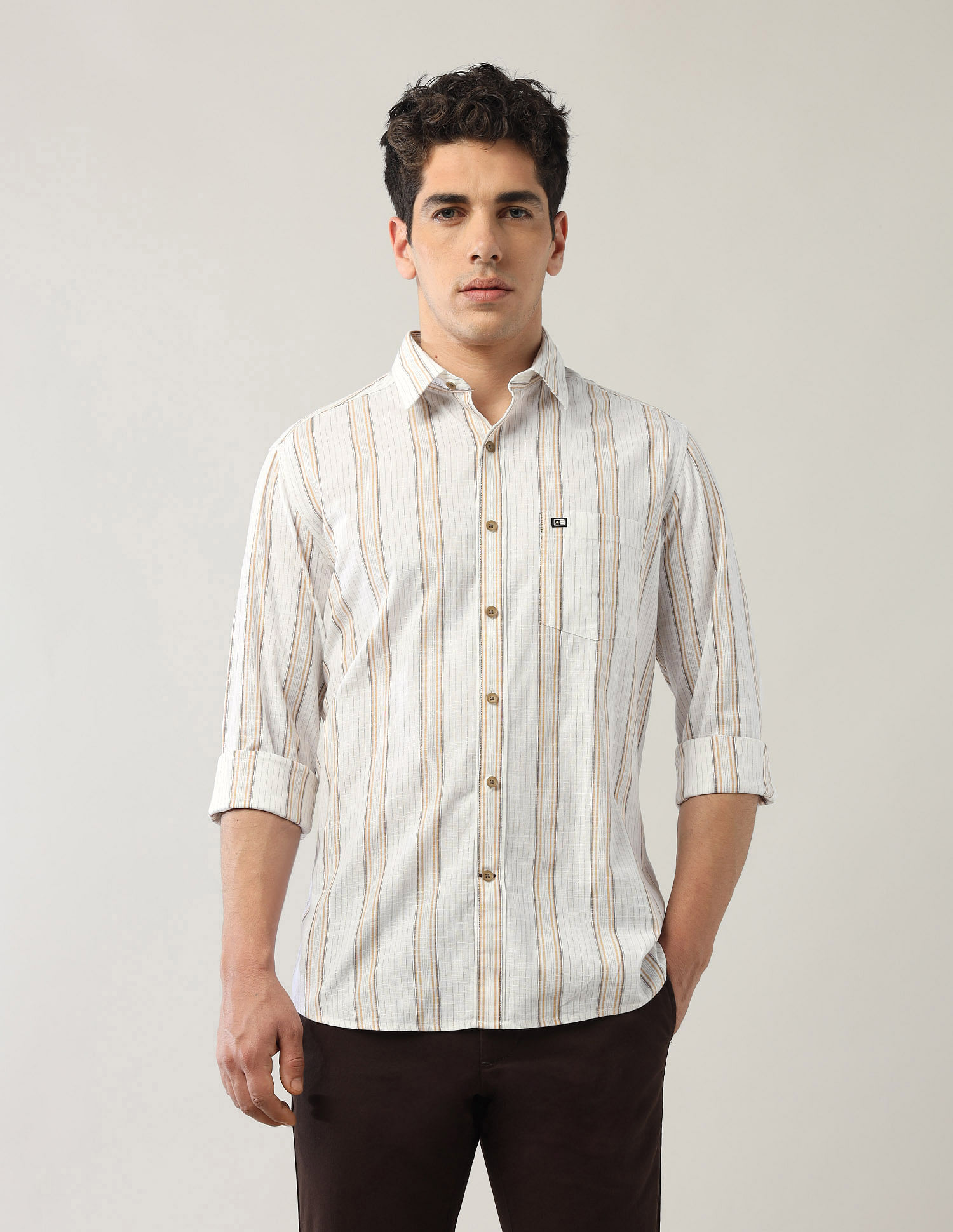Arrow Sport Vertical Striped Regular Shirt