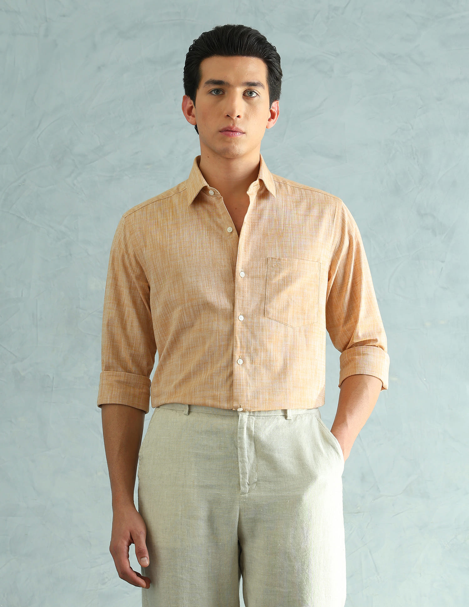 Buy Arrow Slim Fit Smart Formal Shirt - NNNOW.com
