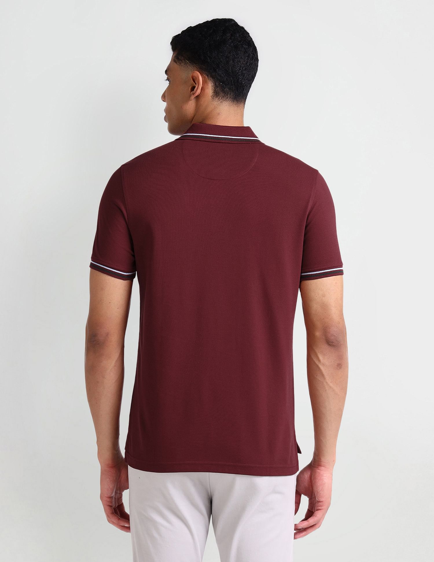 Arrow Sport Striped Collar Solid Polo Shirt