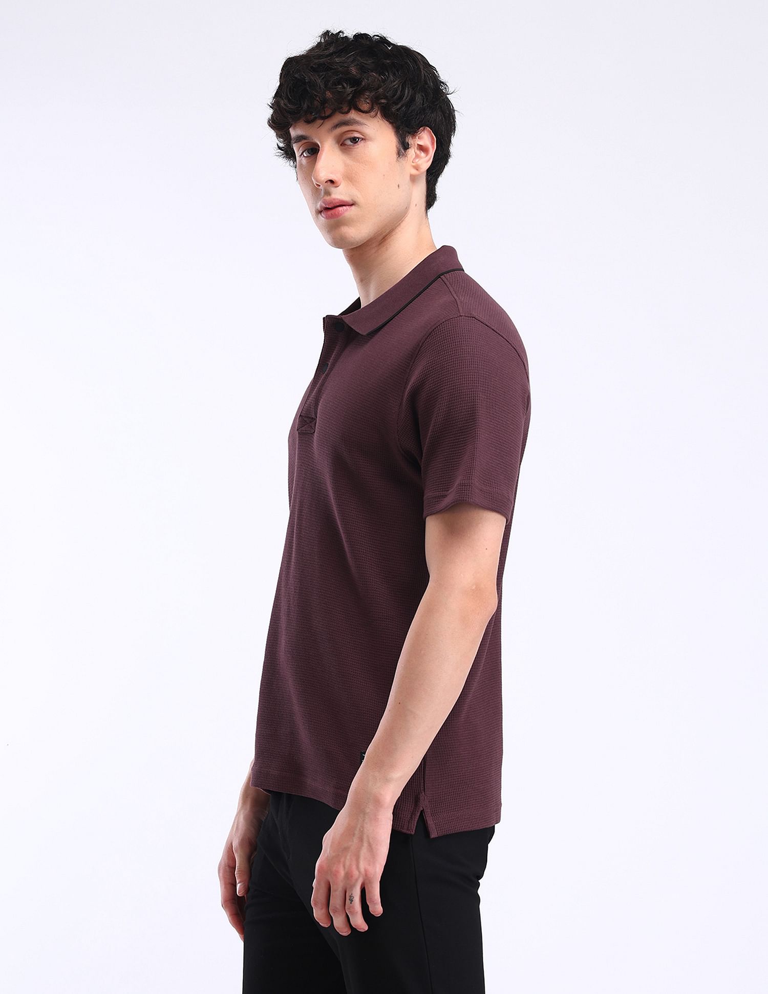 Flying Machine Solid Regular Fit Polo Shirt