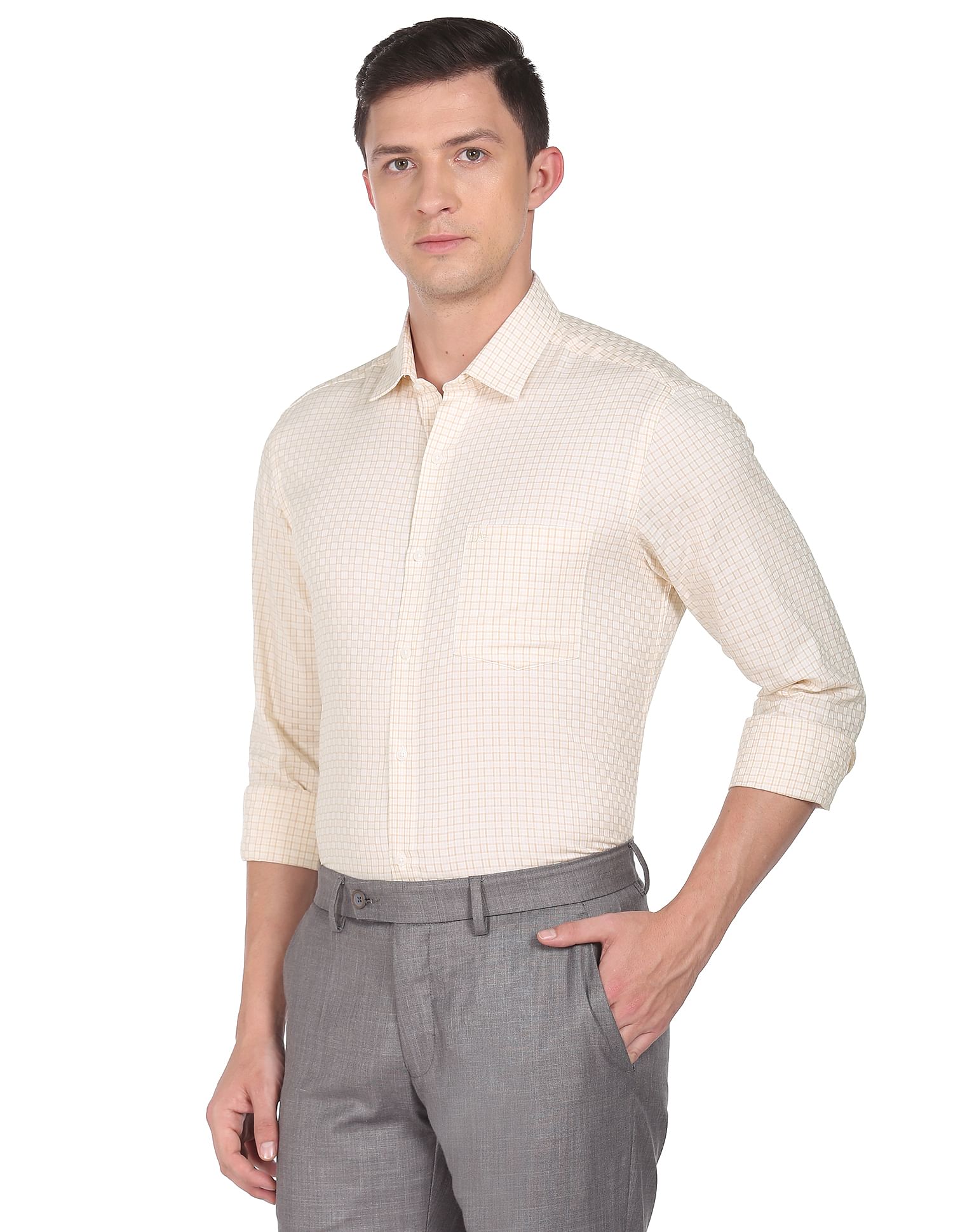 Arrow Micro Check Twill Shirt