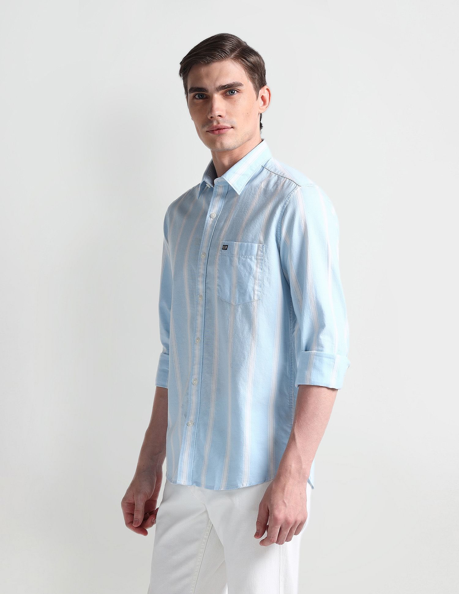 Arrow Sport Vertical Stripe Cotton Shirt