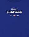 Tommy Hilfiger Kids Boys Logo Regular-Fit Cotton T-Shirt