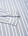 Tommy Hilfiger Multi Stripe Oxford Regular Fit Shirt