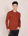 U.S. Polo Assn. Crew Neck Vertical Stripe Sweater