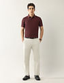 Arrow Textured Regular Fit Polo Shirt