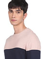 Flying Machine Crew Neck Pure Cotton Sweater
