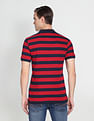 Arrow Sports Horizontal Stripe Polo Shirt