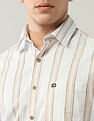 Arrow Sport Vertical Striped Regular Shirt