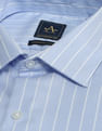 Arrow Slim Fit Vertical Striped Shirt