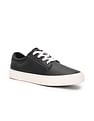 Tommy Hilfiger Women Derby Aspen Sneakers