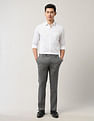Arrow Regular Fit Textured Trousers